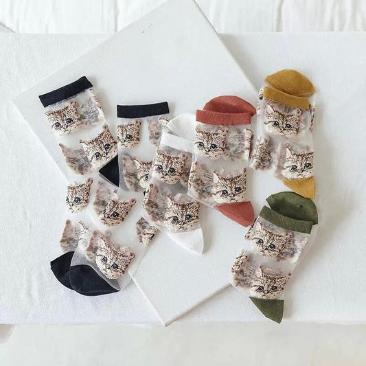 CAT SOCKS / See Thru Kitten Print / Aesthetic / Mesh / Fashion / Trendy / Patterned / Ins / Transparent / Gift / Womens / Unique / Kawaii