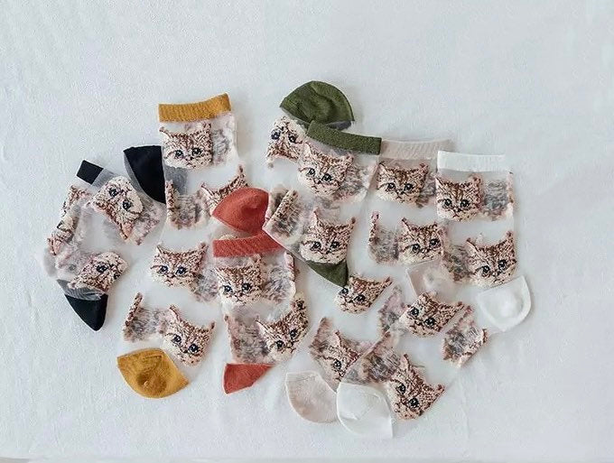 CAT SOCKS / See Thru Kitten Print / Aesthetic / Mesh / Fashion / Trendy / Patterned / Ins / Transparent / Gift / Womens / Unique / Kawaii